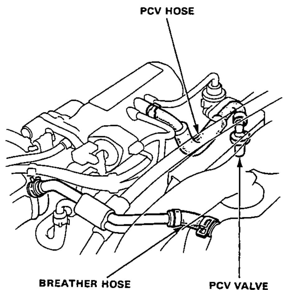 Engine compartment view of the crankcase ventilation system identifying the PCV hose, breather hose and PCV valve.