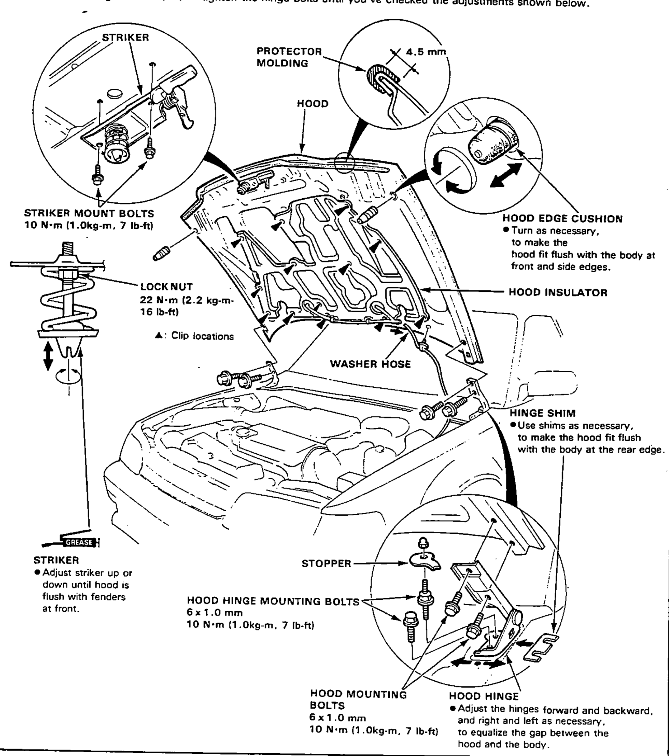 Overall hood replacement/adjustment illustration showing the raised hood with the hood insulator and clip locations, the washer hose, protector molding (with a 4.5 mm gap detail inset), the hood edge cushion, hinge shim, striker and striker mount bolts (inset), lock nut, hood hinge and hood mounting bolts, and the stopper. Adjustment notes are called out around the diagram.