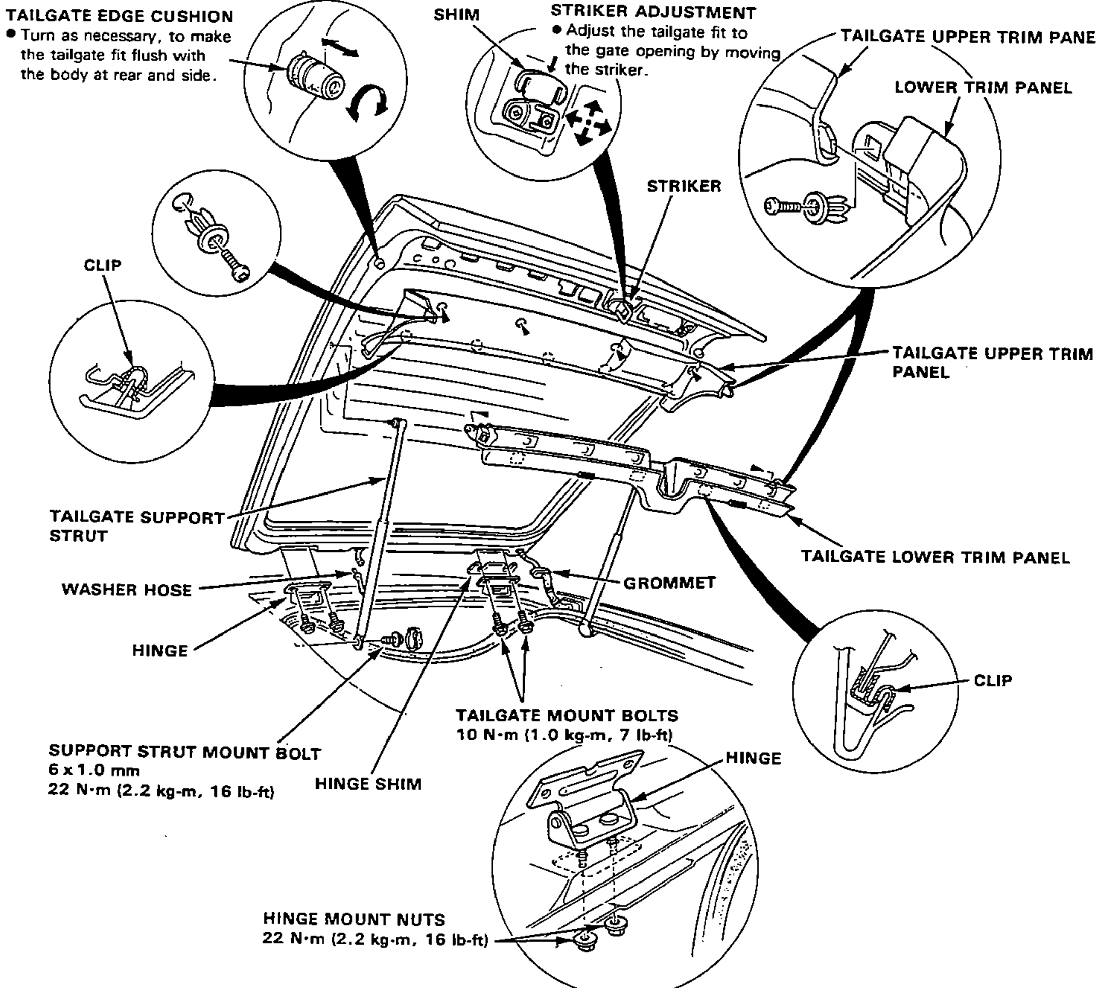 Exploded view of the tailgate showing the upper and lower trim panels and their retaining clips, tailgate edge cushion, shim, striker and striker adjustment, tailgate support strut, washer hose, hinge and hinge shim, grommet, and the tailgate/hinge fasteners. Insets detail the edge cushion adjustment, striker adjustment, clip shapes, and the hinge mount nuts.