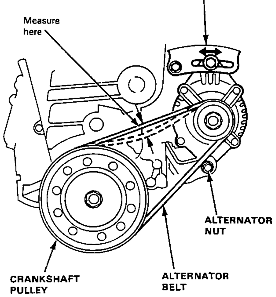 Front view of the accessory drive showing where to measure alternator belt deflection between the alternator and crankshaft pulley, with the alternator adjusting bolt, alternator nut, alternator belt and crankshaft pulley identified.