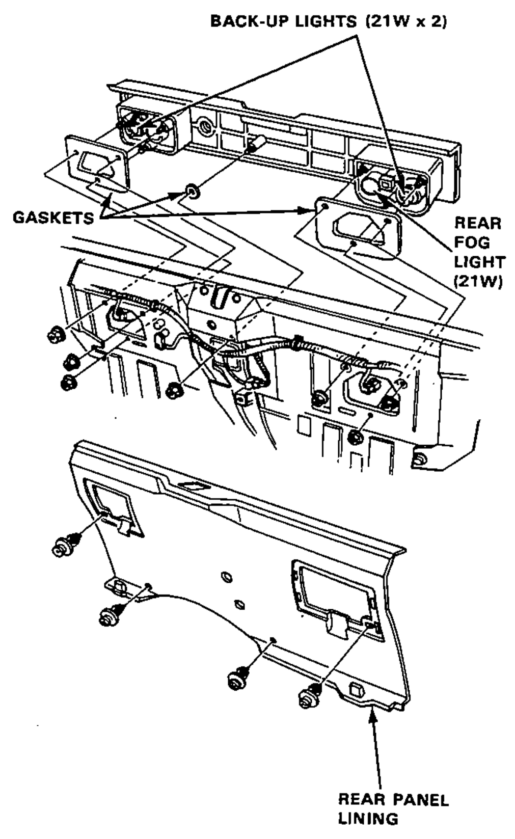 Exploded view of the rear back-up and rear fog light assembly: back-up lights (21W x 2), rear fog light (21W), gaskets, and the rear panel lining removed.